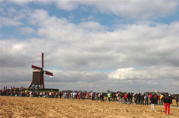 Flanders panorama