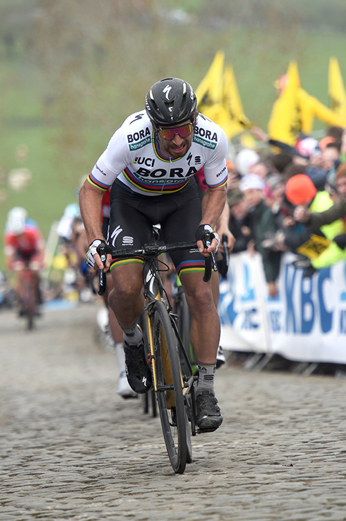 Peter Sagan