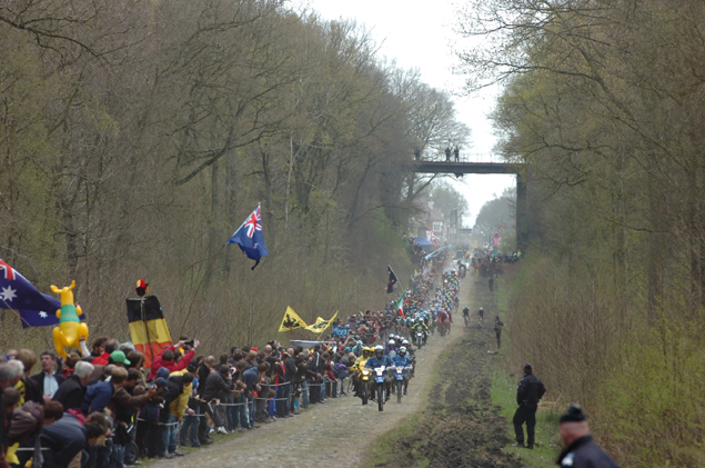 Arenberg forest