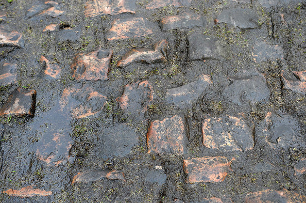 Arenberg cobbles