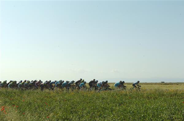 Peloton rides by a field