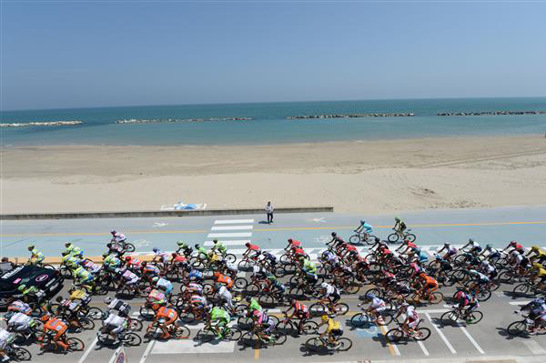 Peloton rides down the coast