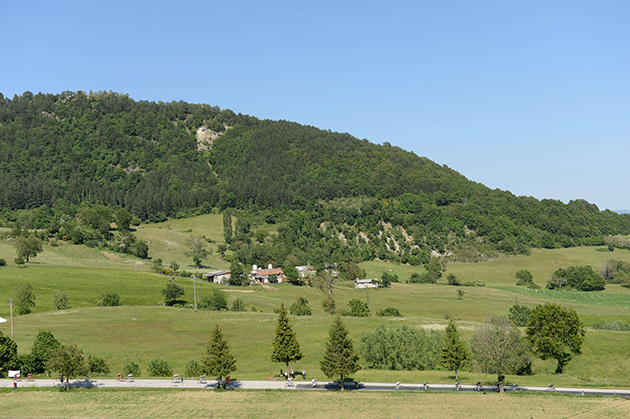 Panorama