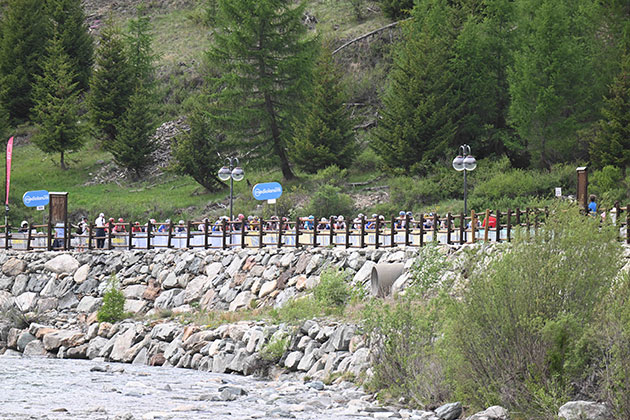 Bike racing in the Alps