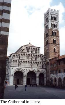 Duomo (cathedral) in Lucca