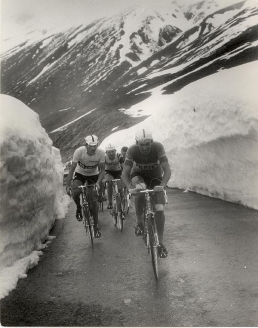 Bitossi on the Stelvio