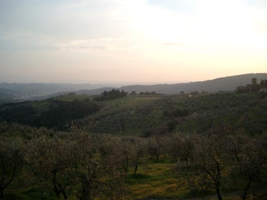 Sunset at the Empoli countryside