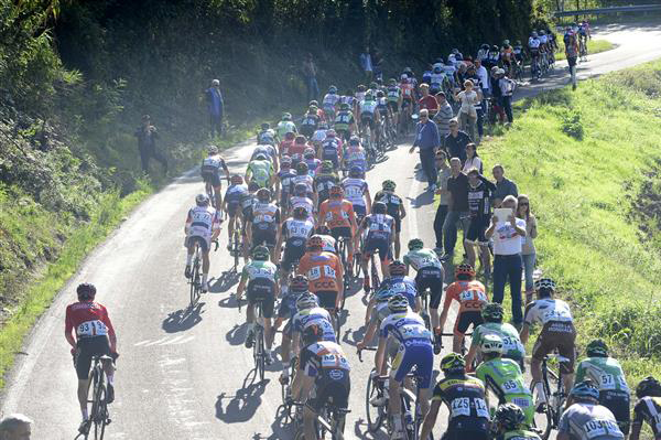 Peloton on Zappolino