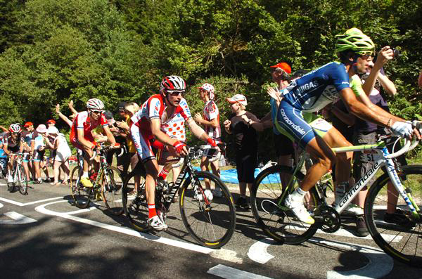 Nibali and Menchov