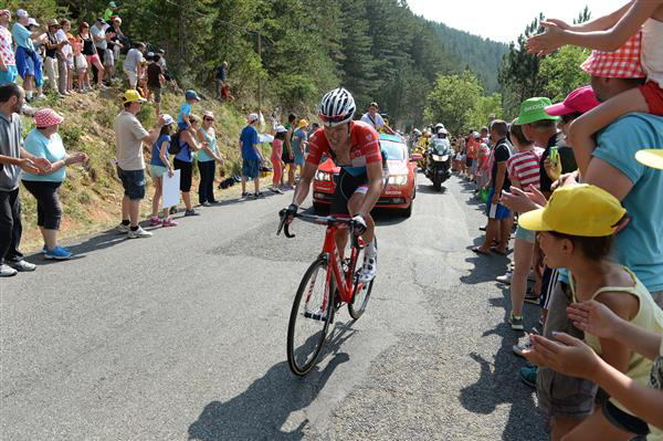 Bob Jungels