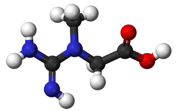 Creatine