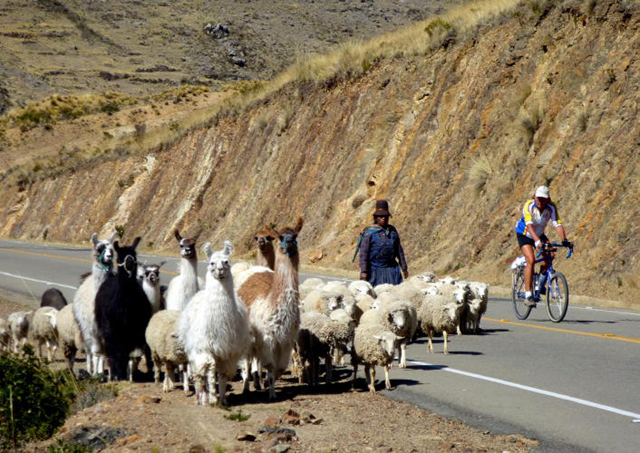 On the road from Copacabana