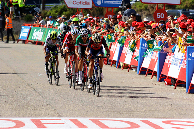 Vincenzo Nibali