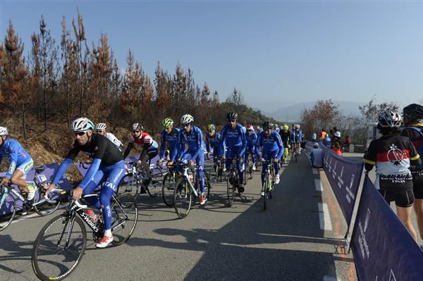 Vincenzo Nibali